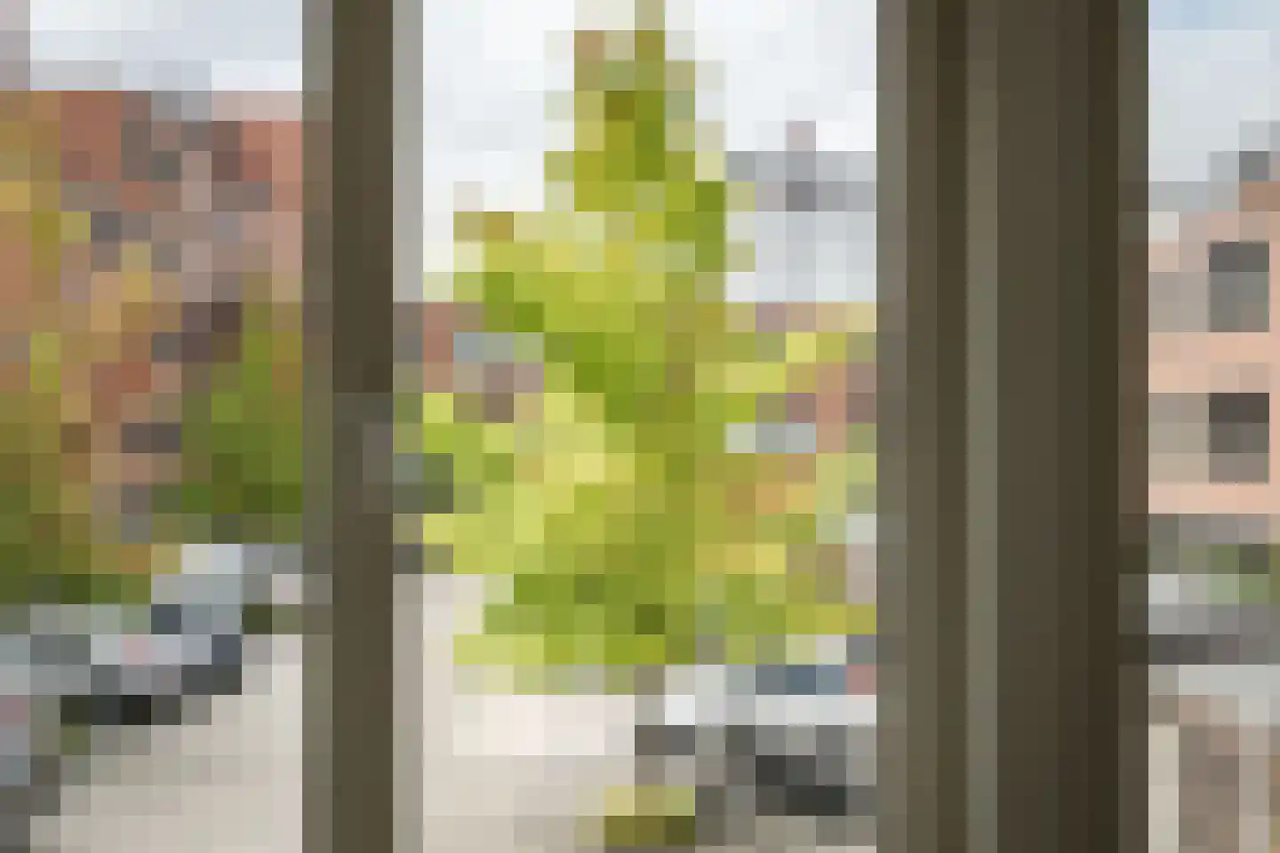 Wim Sonneveldstraat 8 Haarlem thumbnail 19