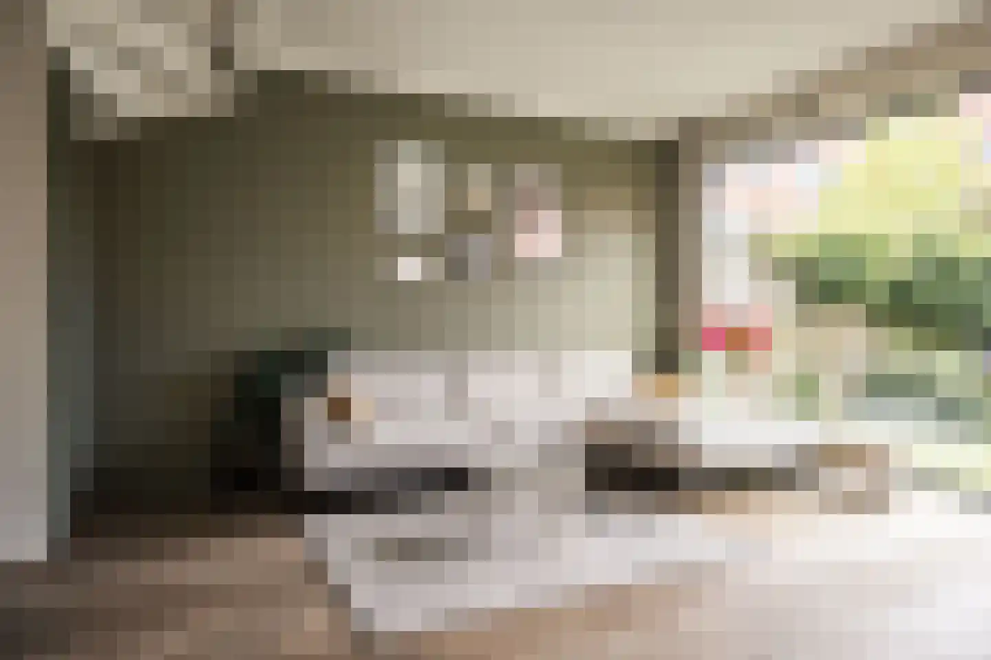 Wim Sonneveldstraat 8 Haarlem thumbnail 8
