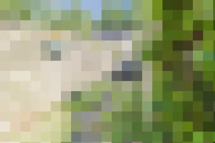 Wim Sonneveldstraat 8 Wageningen thumbnail 31