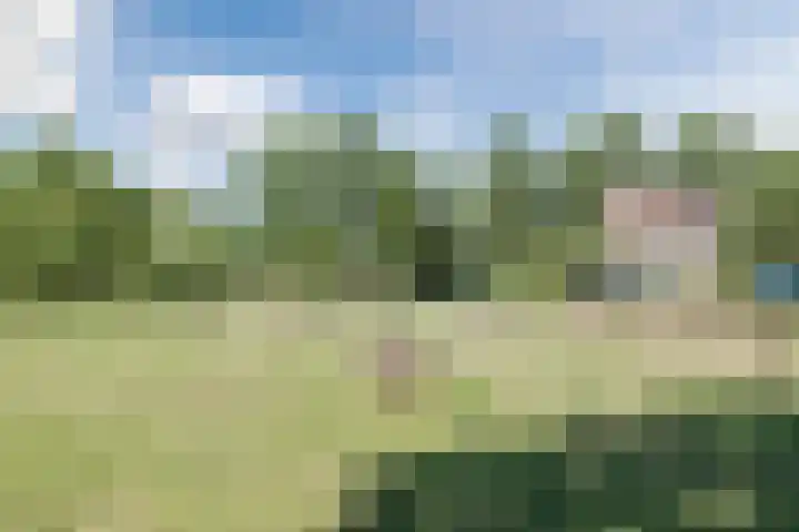 Wim Sonneveldstraat 8 Wageningen thumbnail 37