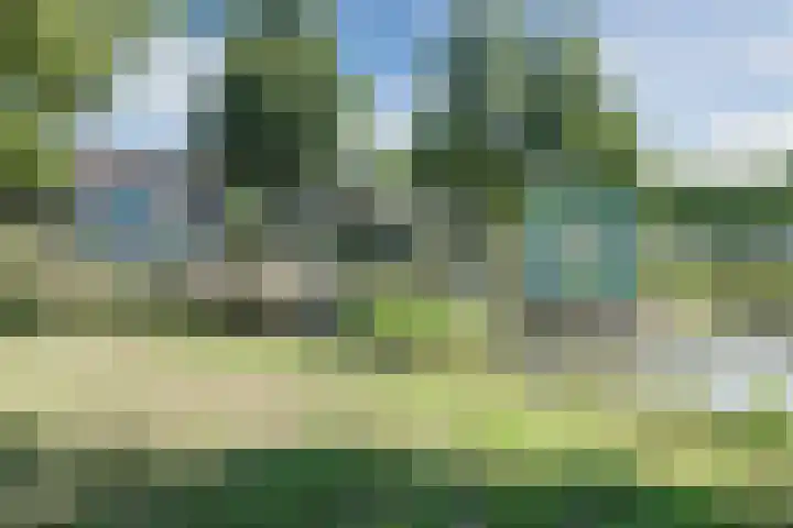 Wim Sonneveldstraat 8 Wageningen thumbnail 38
