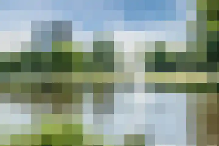 Wim Sonneveldstraat 8 Wageningen thumbnail 39