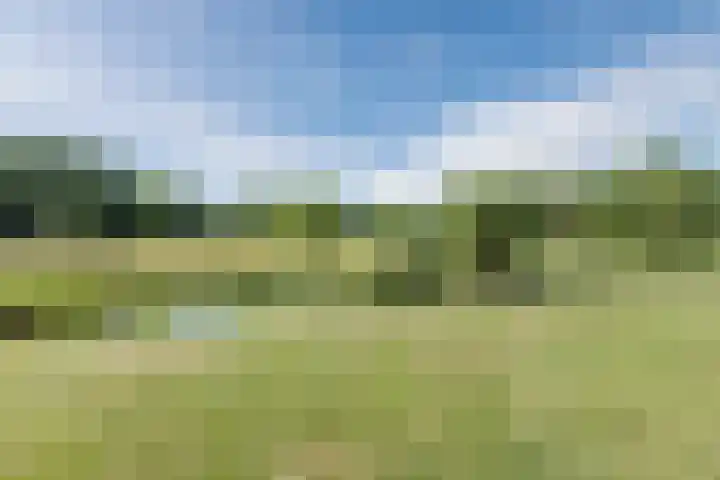 Wim Sonneveldstraat 8 Wageningen thumbnail 5