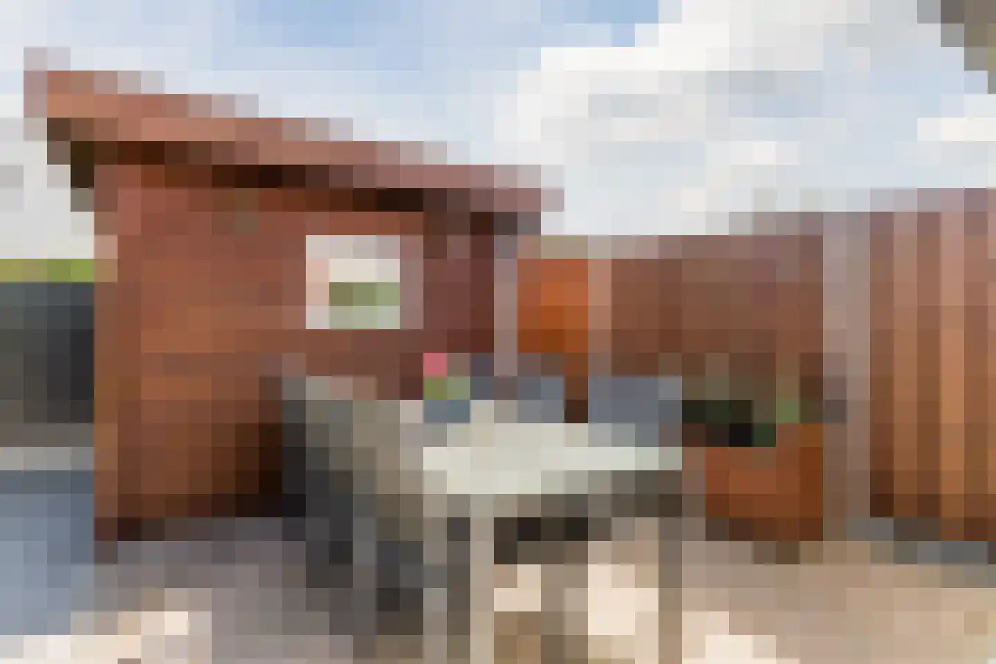 Wim van Baaststraat 10 A Oisterwijk thumbnail 34