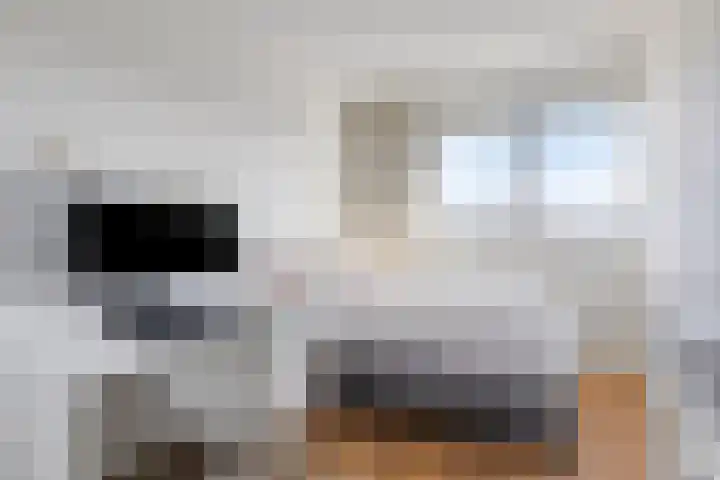 Wim van Baaststraat 14 Oisterwijk thumbnail 23
