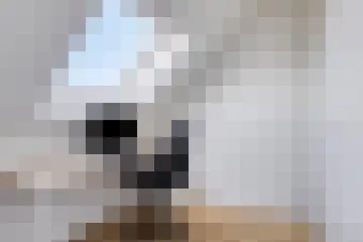 Wim van Baaststraat 14 Oisterwijk thumbnail 29
