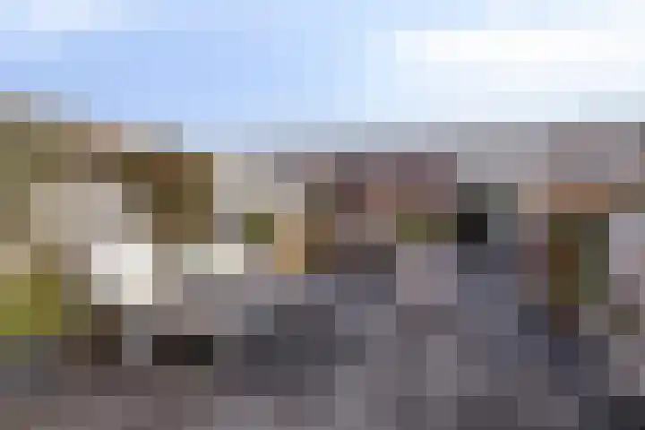 Wim van Baaststraat 14 Oisterwijk thumbnail 31