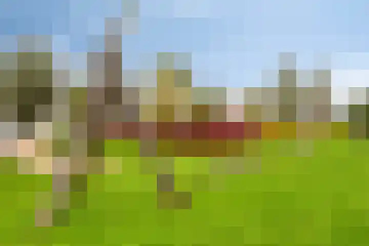 Wim van Baaststraat 14 Oisterwijk thumbnail 37