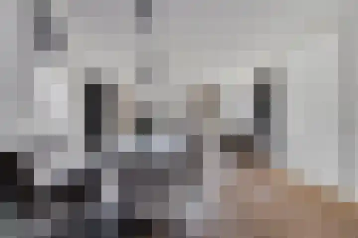 Wim van Baaststraat 14 Oisterwijk thumbnail 8