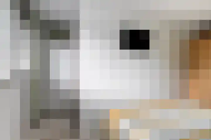 Wim van Baaststraat 16 Oisterwijk thumbnail 16