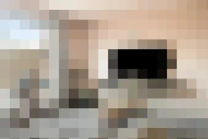 Wim van Baaststraat 16 Oisterwijk thumbnail 7