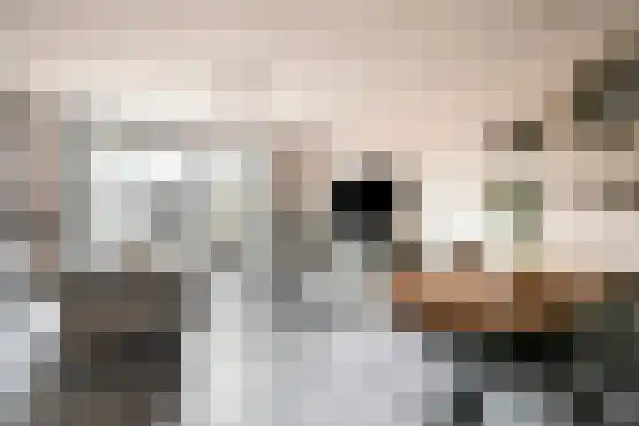 Wim van Baaststraat 16 Oisterwijk thumbnail 8