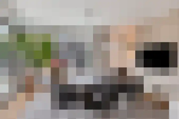 Wim van Baaststraat 26 Oisterwijk thumbnail 17