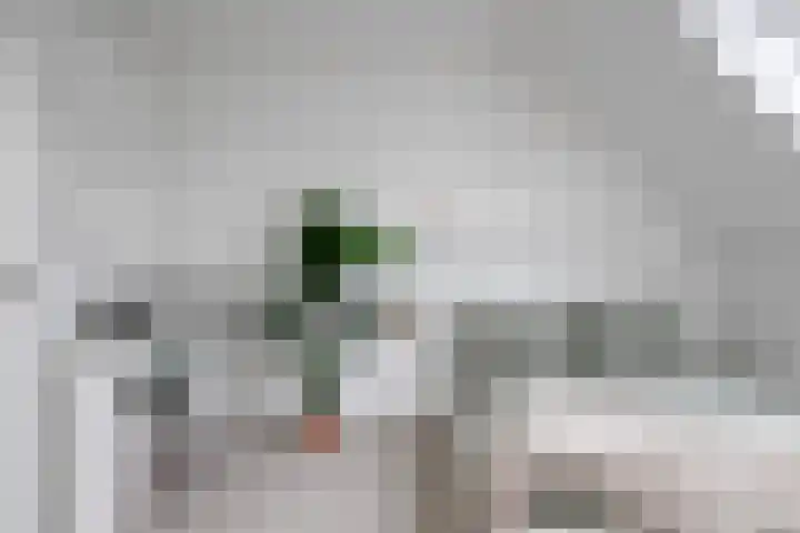 Wim van Baaststraat 26 Oisterwijk thumbnail 33