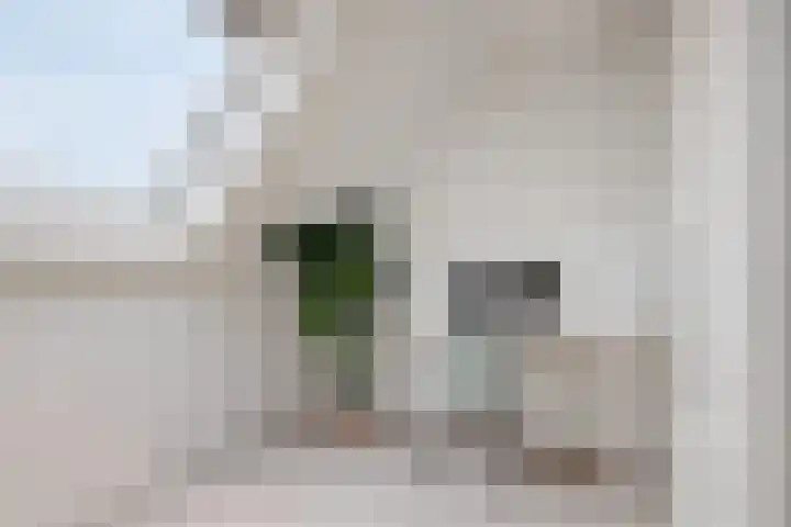 Wim van Baaststraat 26 Oisterwijk thumbnail 35