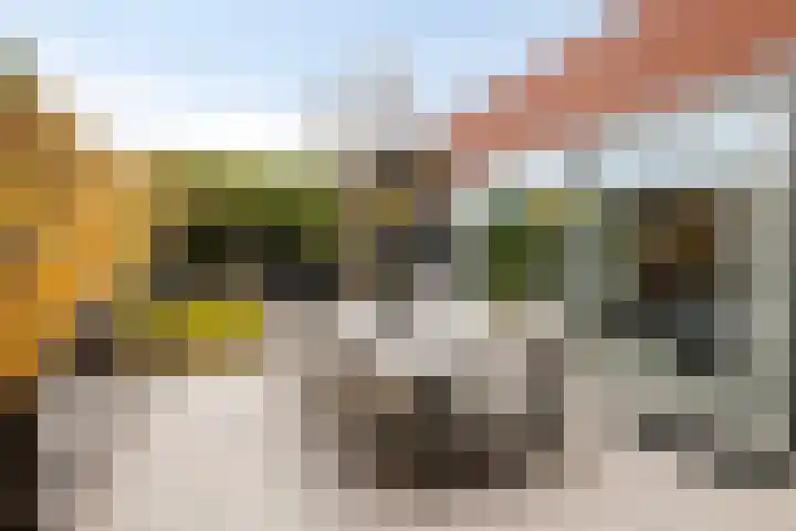 Wim van Baaststraat 26 Oisterwijk thumbnail 36