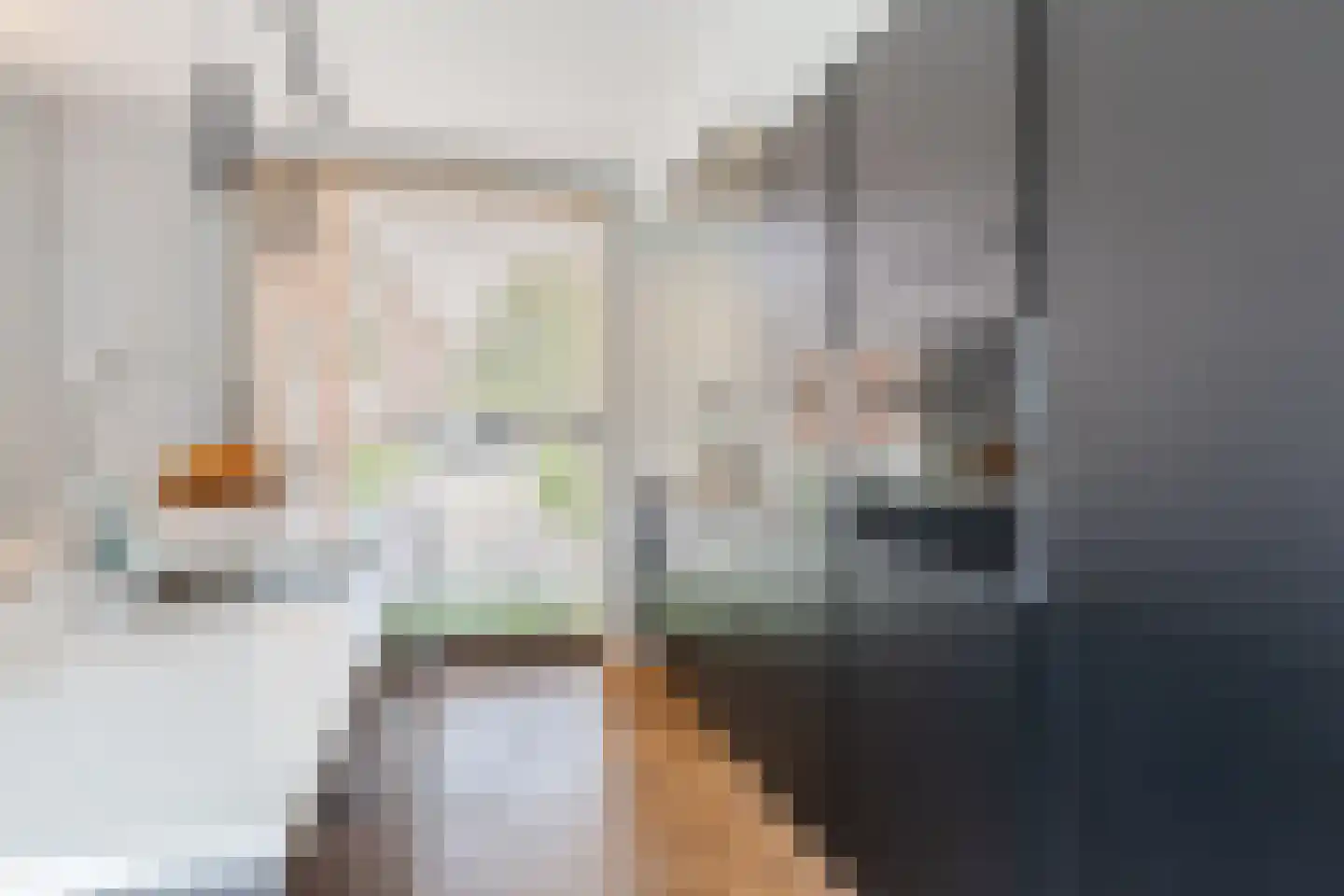 Wim van Baaststraat 6 Oisterwijk thumbnail 21