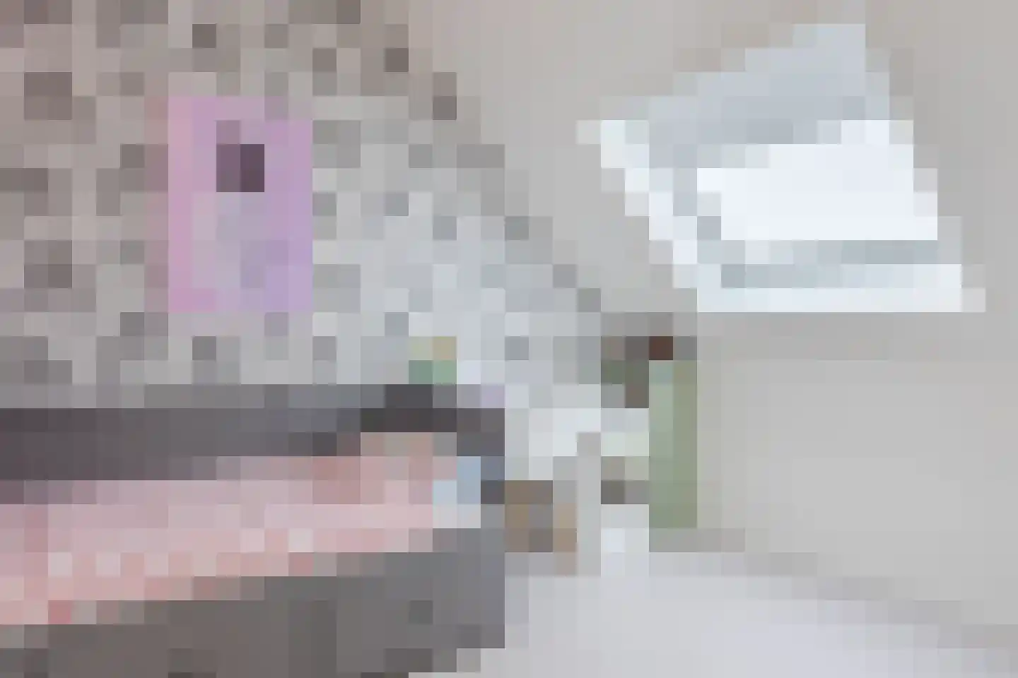 Wim van Baaststraat 6 Oisterwijk thumbnail 36