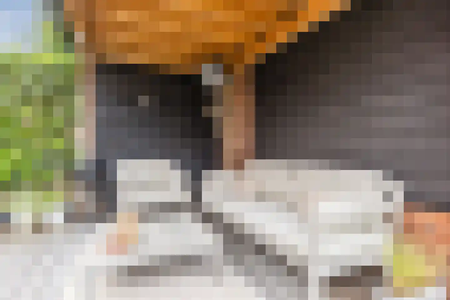 Wim van Baaststraat 6 Oisterwijk thumbnail 39