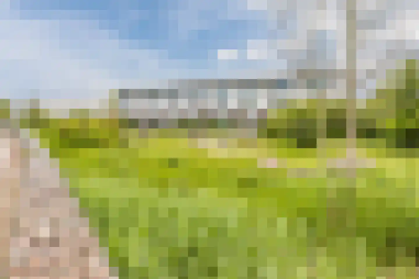 Wim van Baaststraat 6 Oisterwijk thumbnail 44