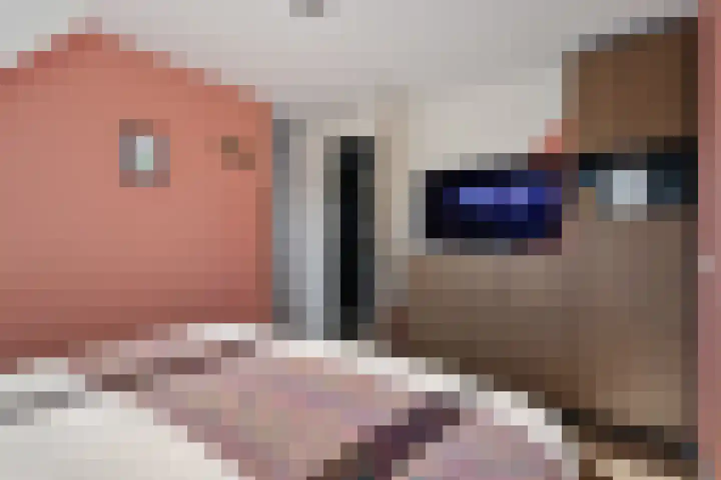 Wim van de Kappellehof 3 Wormer thumbnail 27
