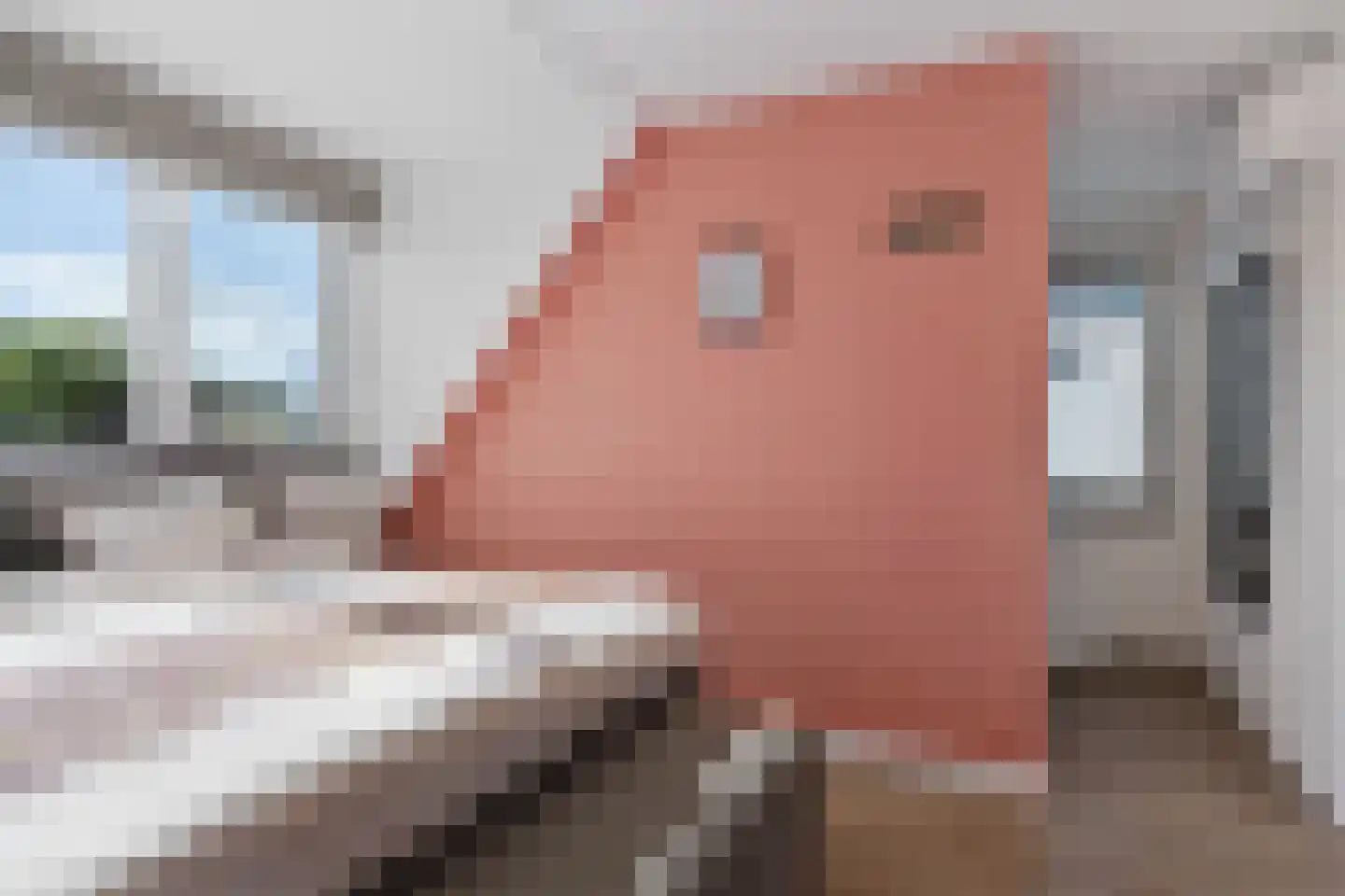 Wim van de Kappellehof 3 Wormer thumbnail 28