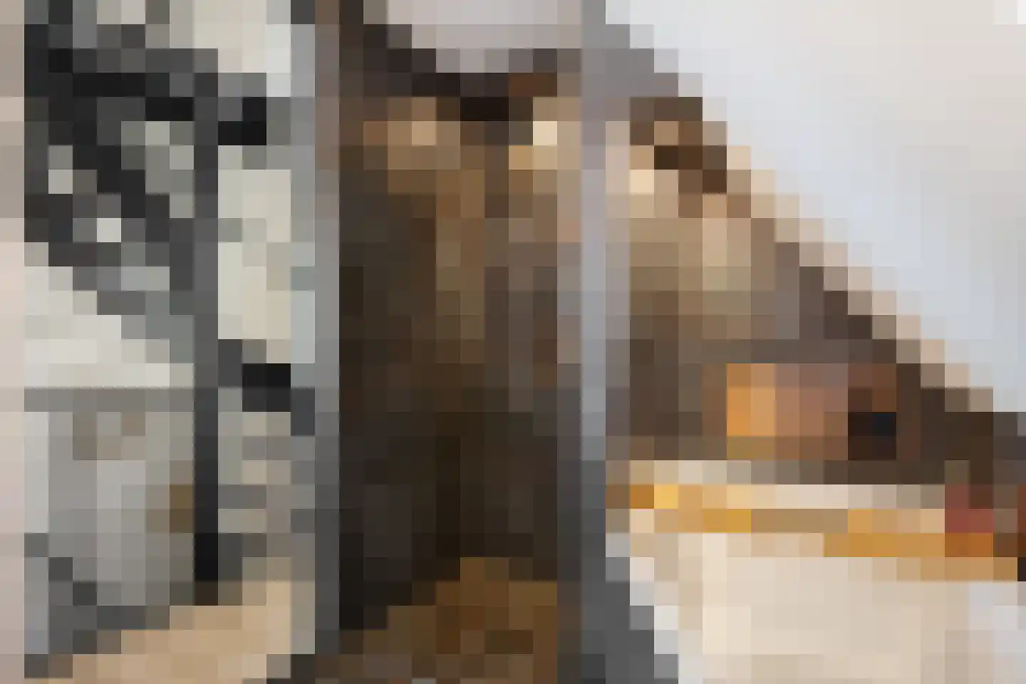 Wim van de Kappellehof 3 Wormer thumbnail 31