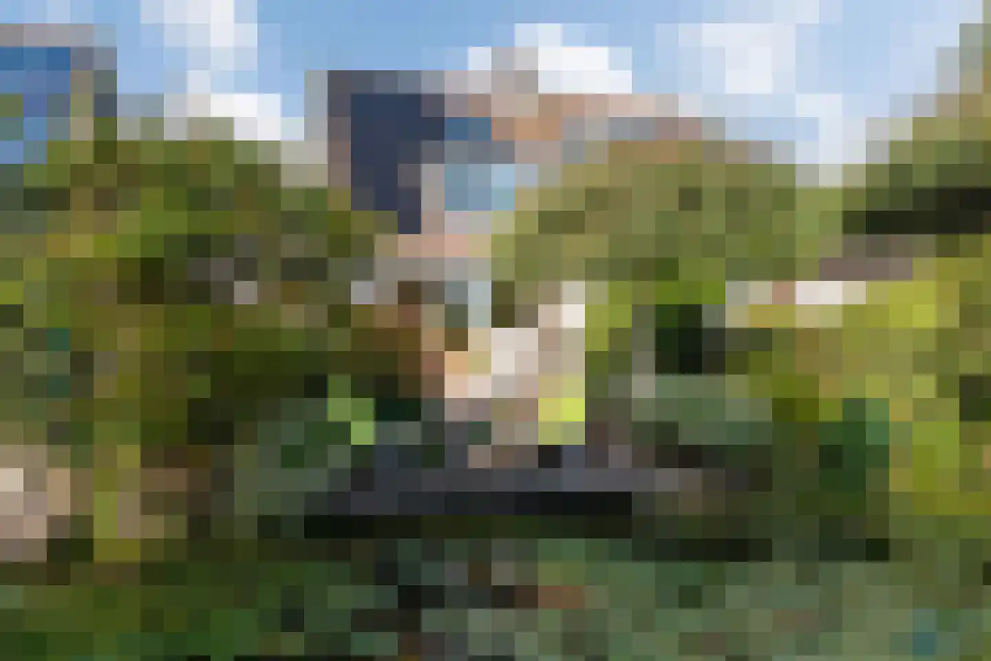 Wim van de Kappellehof 3 Wormer thumbnail 44