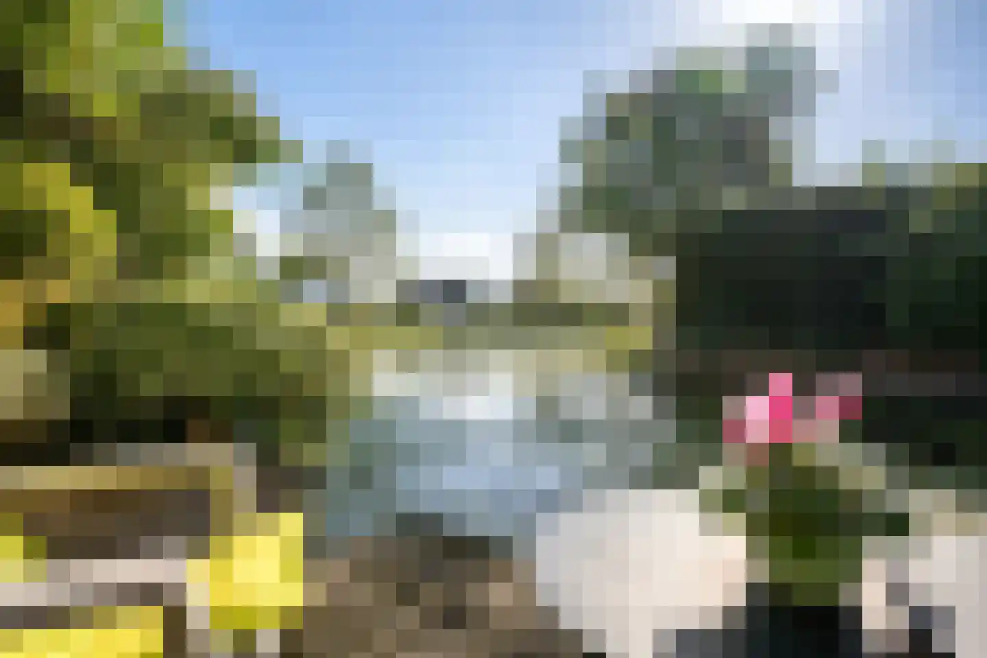 Wim van de Kappellehof 3 Wormer thumbnail 6