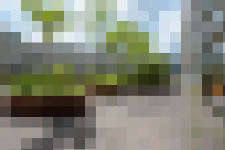 Wim van Estlaan 39 Amsterdam thumbnail 27