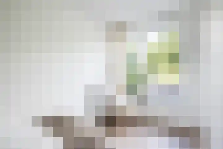 Wim van Estlaan 39 Amsterdam thumbnail 33