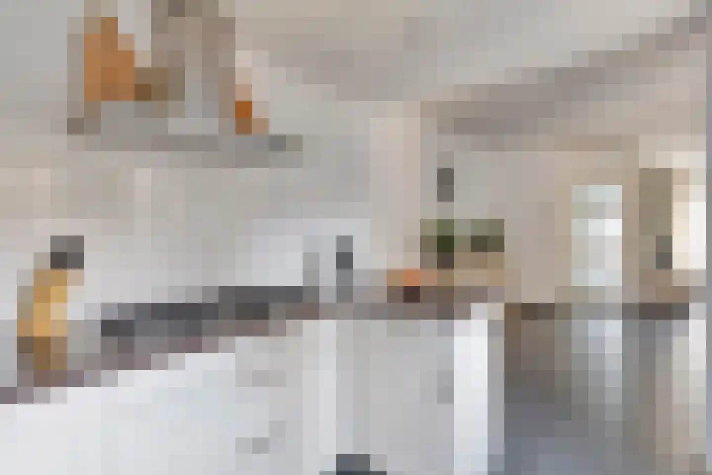 Wim Verschurenstraat 6 Sint Anthonis thumbnail 10