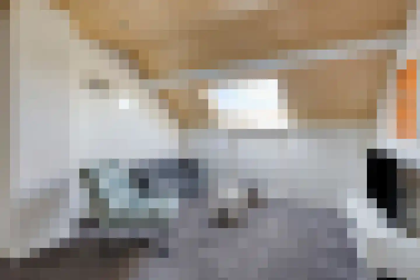 Wim Verschurenstraat 6 Sint Anthonis thumbnail 18