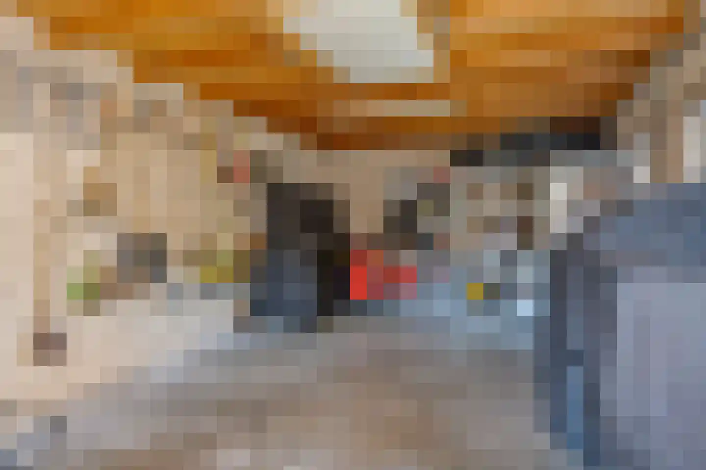 Wim Verschurenstraat 6 Sint Anthonis thumbnail 19