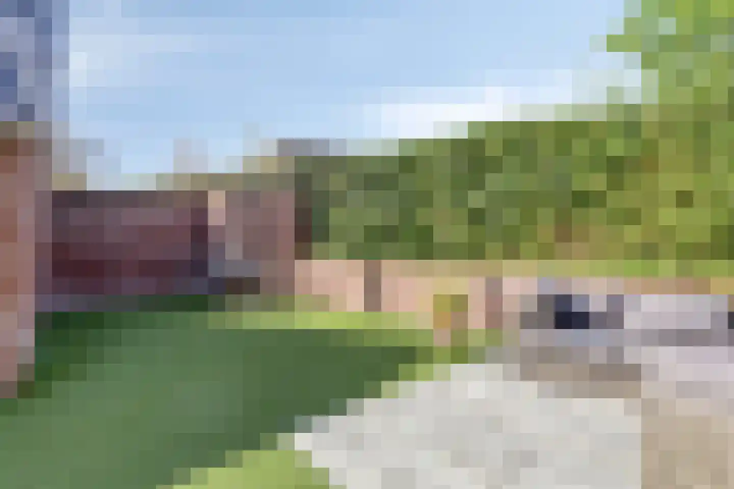Wim Verschurenstraat 6 Sint Anthonis thumbnail 23