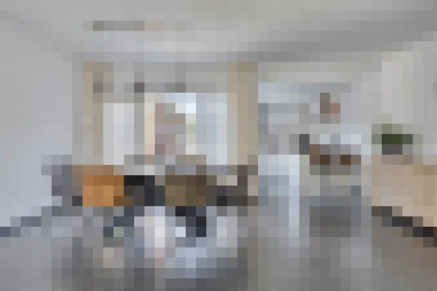Wim Verschurenstraat 6 Sint Anthonis thumbnail 8
