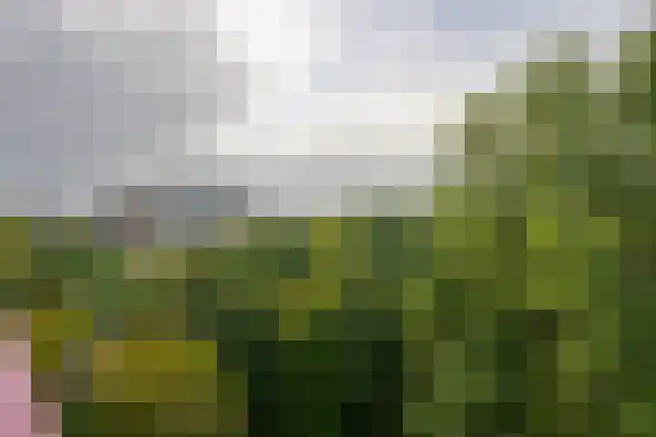 Wimbledonpark 101 Amstelveen thumbnail 36