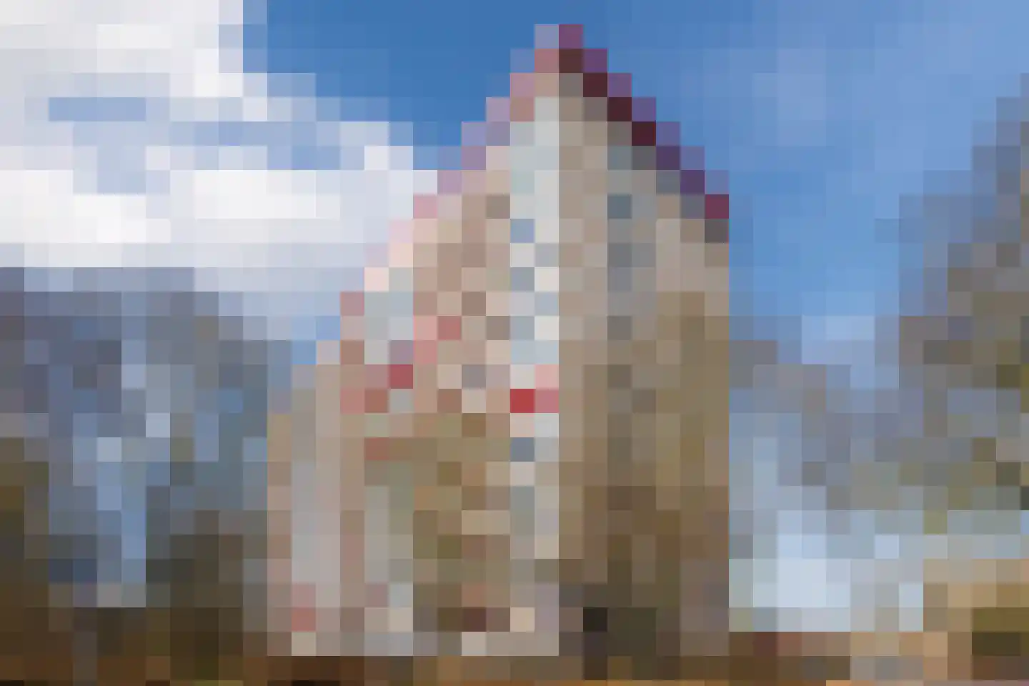 Wimbledonpark 141 Amstelveen thumbnail 30