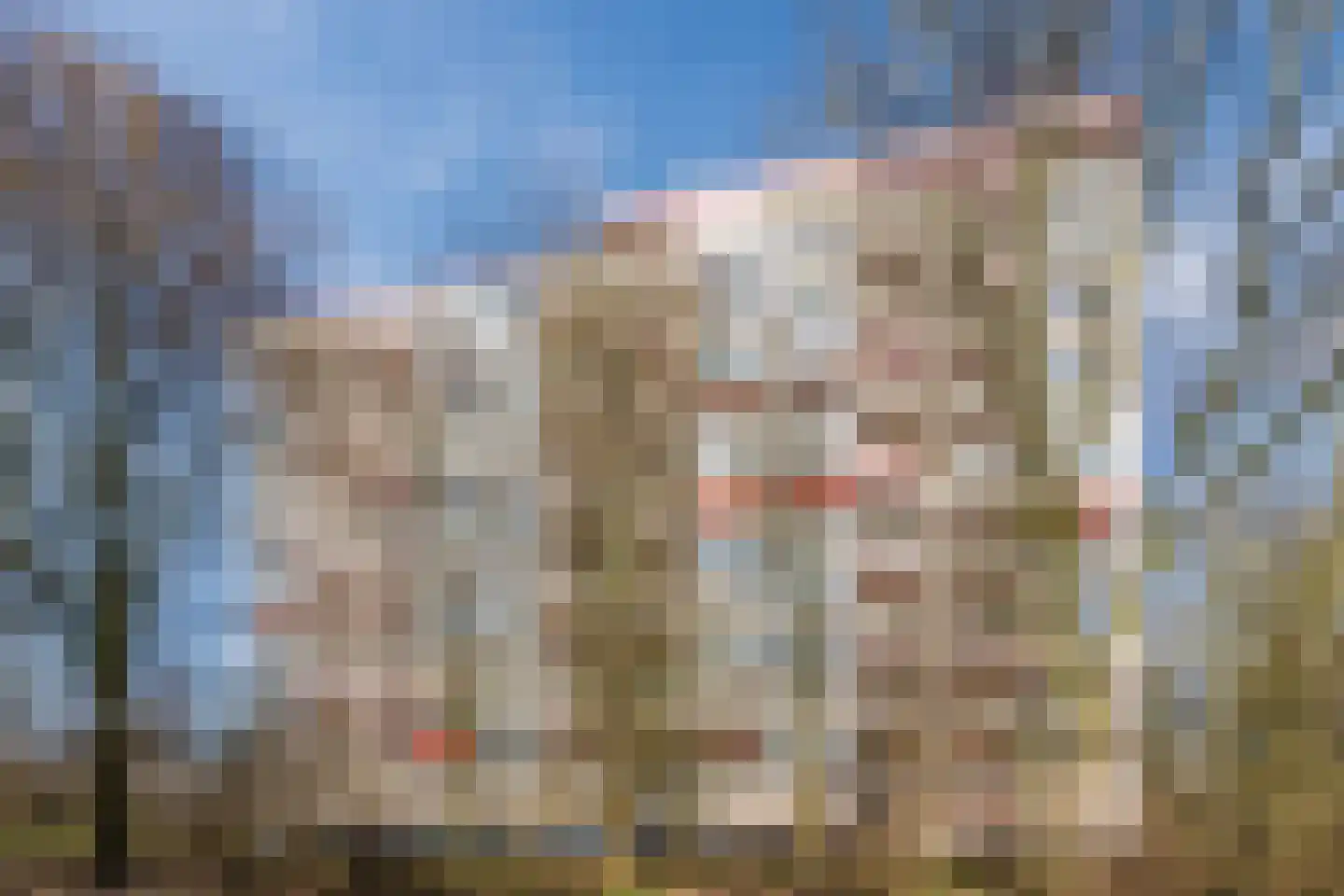 Wimbledonpark 141 Amstelveen thumbnail 31