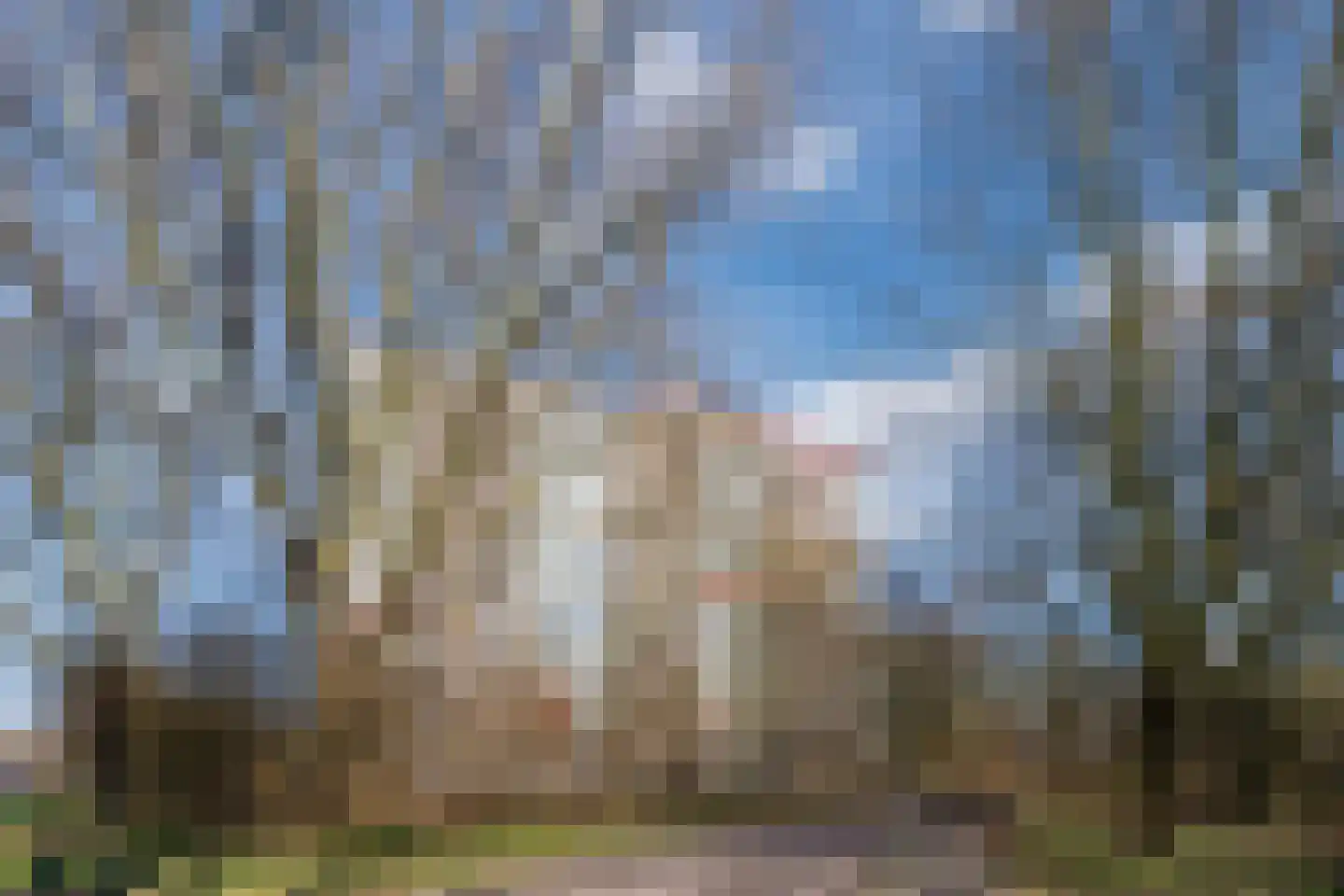 Wimbledonpark 141 Amstelveen thumbnail 32
