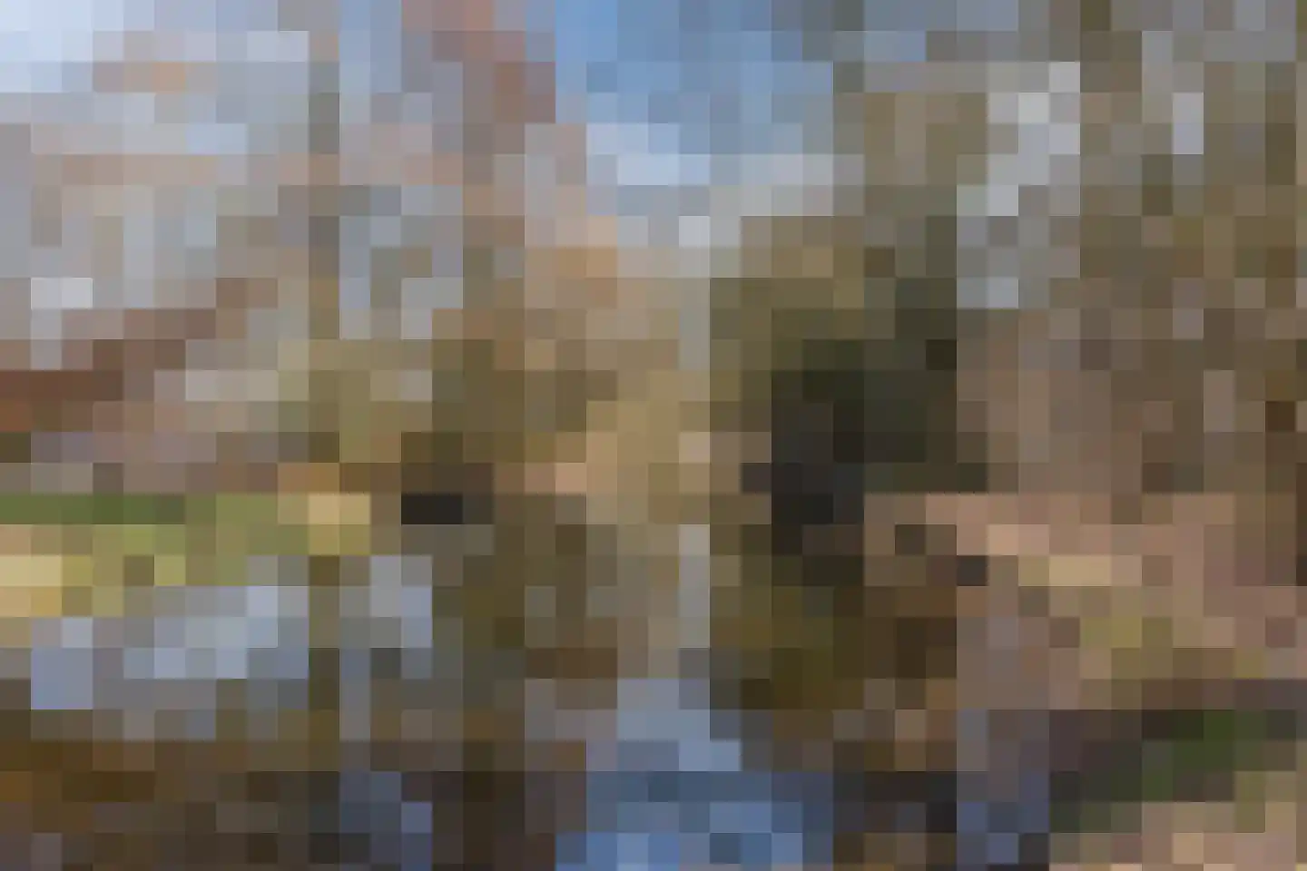 Wimbledonpark 141 Amstelveen thumbnail 35