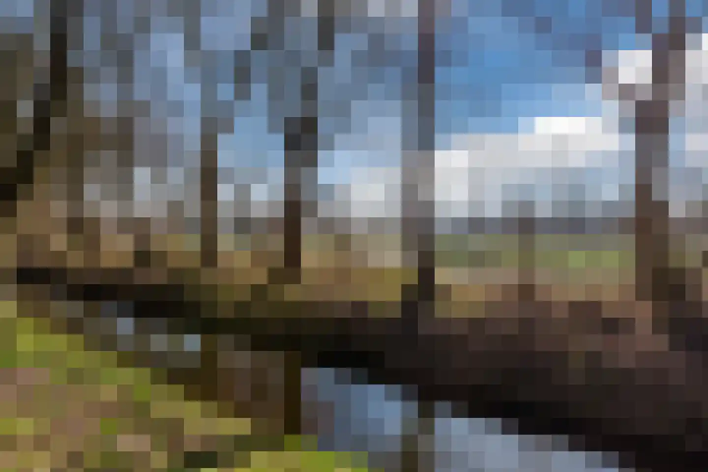 Wimbledonpark 141 Amstelveen thumbnail 36