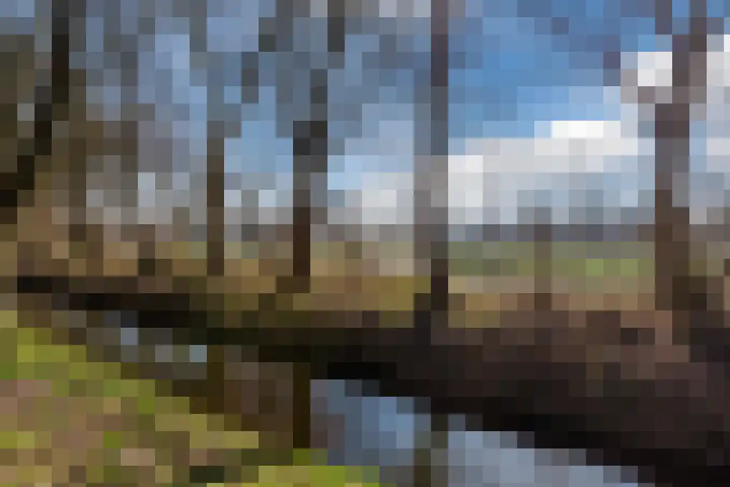 Wimbledonpark 141 Amstelveen thumbnail 36