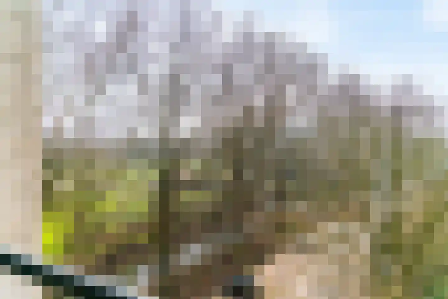 Wimbledonpark 187 Amstelveen thumbnail 31