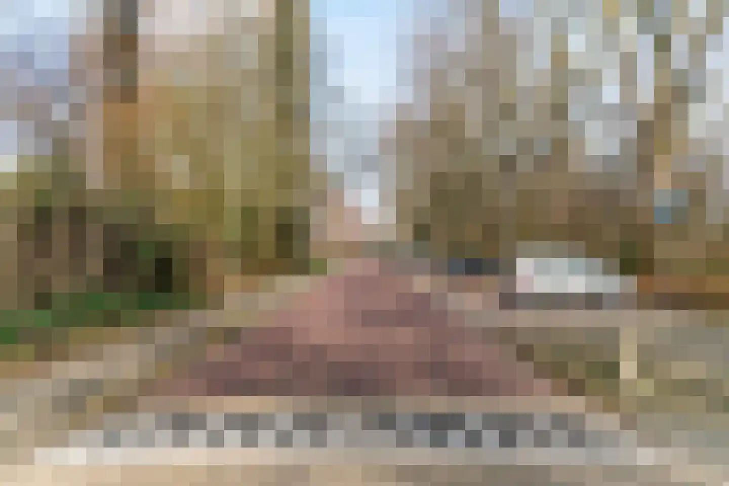 Wimbledonpark 187 Amstelveen thumbnail 37
