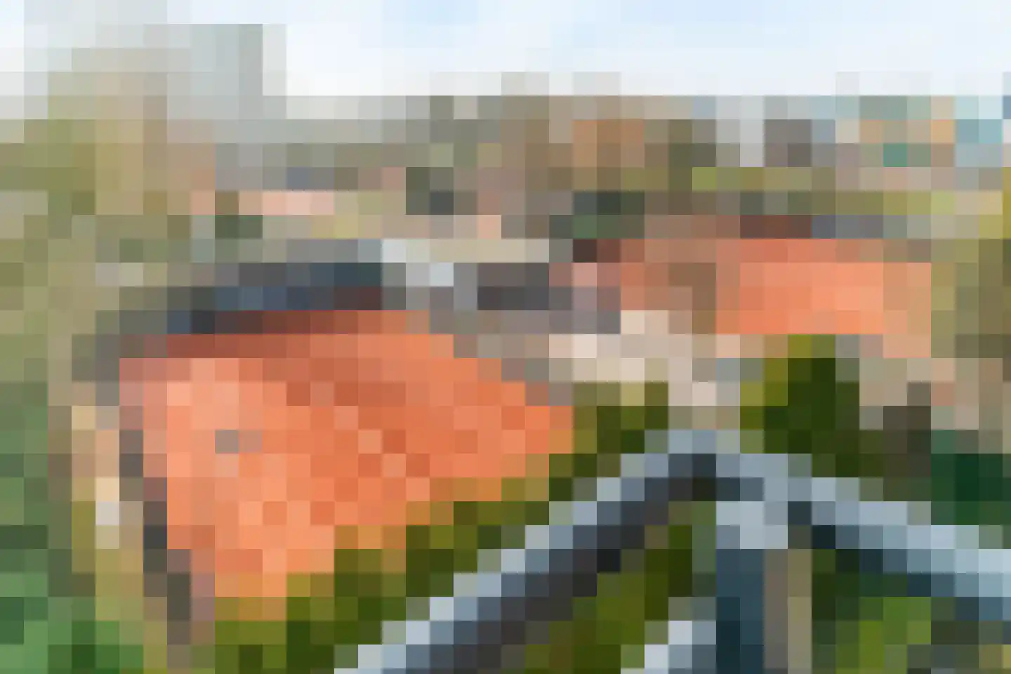 Wimbledonpark 187 Amstelveen thumbnail 6