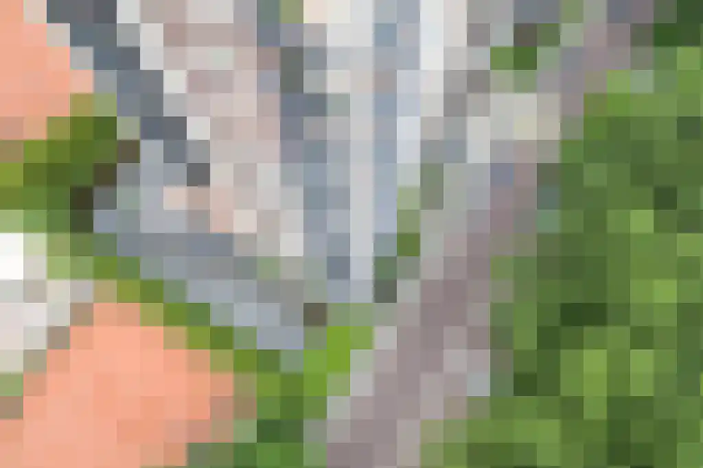 Wimbledonpark 199 Amstelveen thumbnail 20