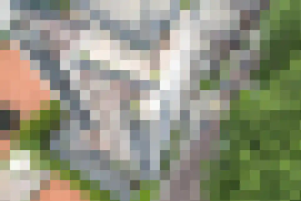Wimbledonpark 199 Amstelveen thumbnail 36