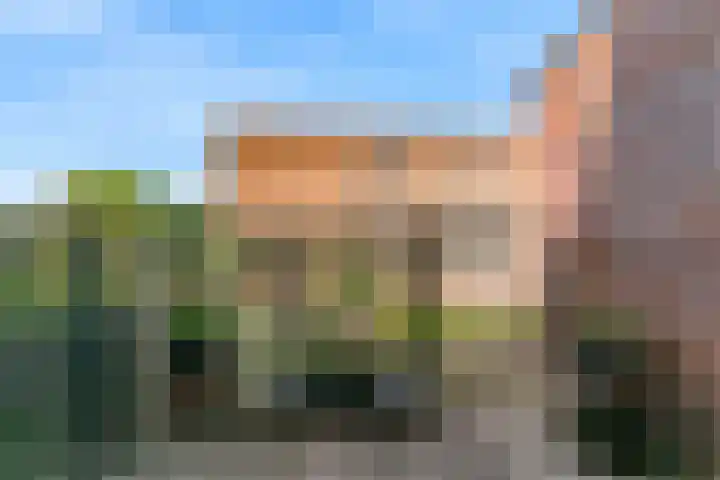 Wimbledonpark 253 Amstelveen thumbnail 10
