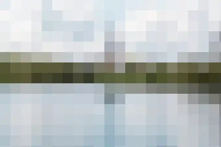 Wimbledonpark 253 Amstelveen thumbnail 37